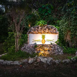 **** Apartahotel Pineapple Fields Bahamas