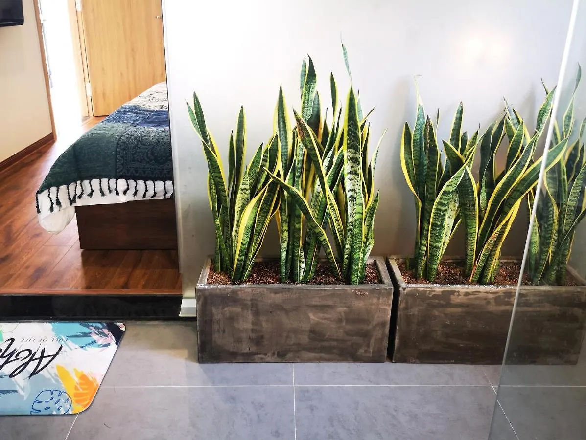 *** Hotel Benzen Boutique Stays-1 Min To Han River Da Nang Vietnam